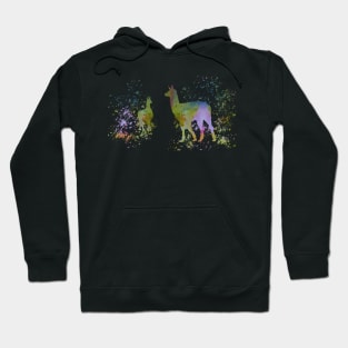 Llamas Hoodie